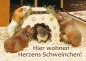 Meerschweinchen Hinweisschild Herzensschweinchen