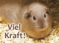 Viel Kraft!