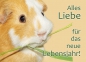 Meerschweinchen-Postkarte Alles Liebe für das neue Lebensjahr Geburtstags-Postkarte