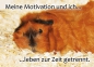 Meerschweinchen-Postkarte Meine Motivation und ich leben zur Zeit getrennt